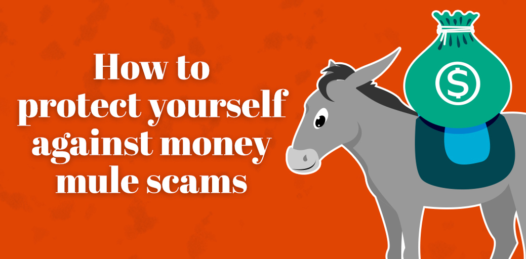 How to protect yourself against money mule scams