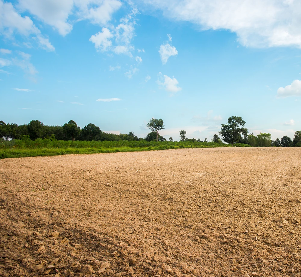 Empty lot of land