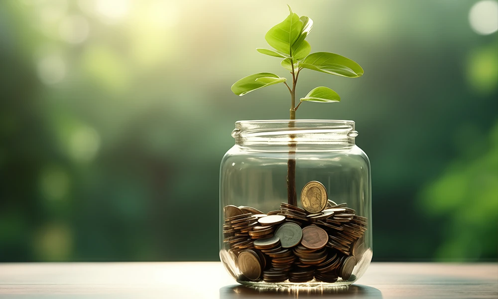 plant growing in a jar full of coins