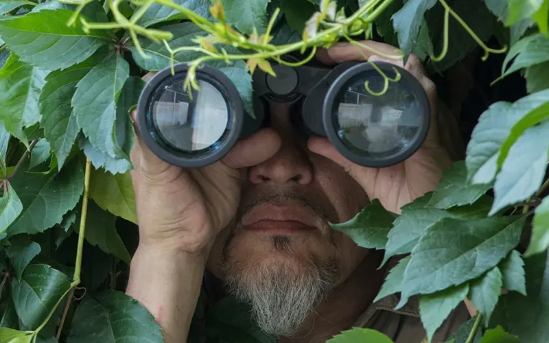 man hiding in bush with binoculars