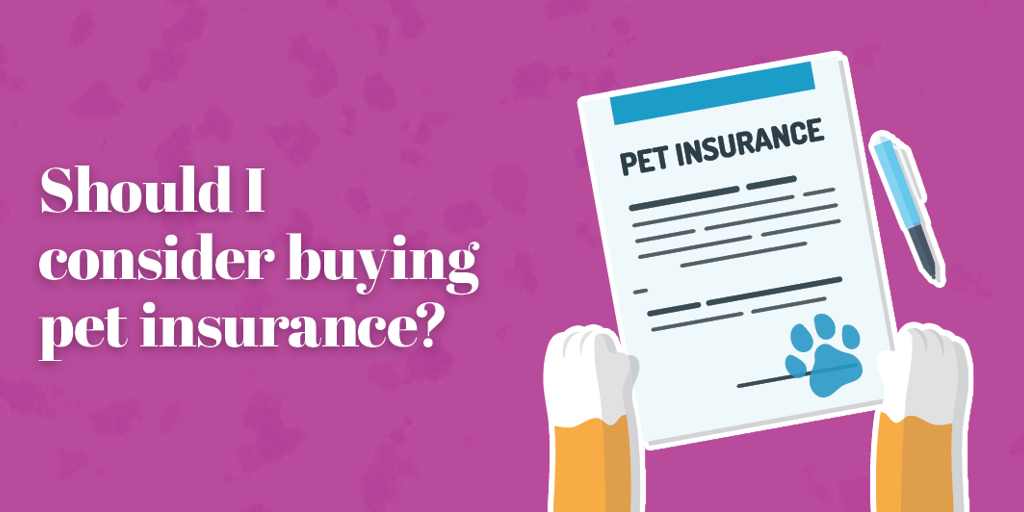Should I consider buying pet insurance?